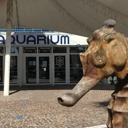 4 Pers Rdc Avec Piscines, Terrasse, Proche Et Commerces - Fr-1-307-36 *